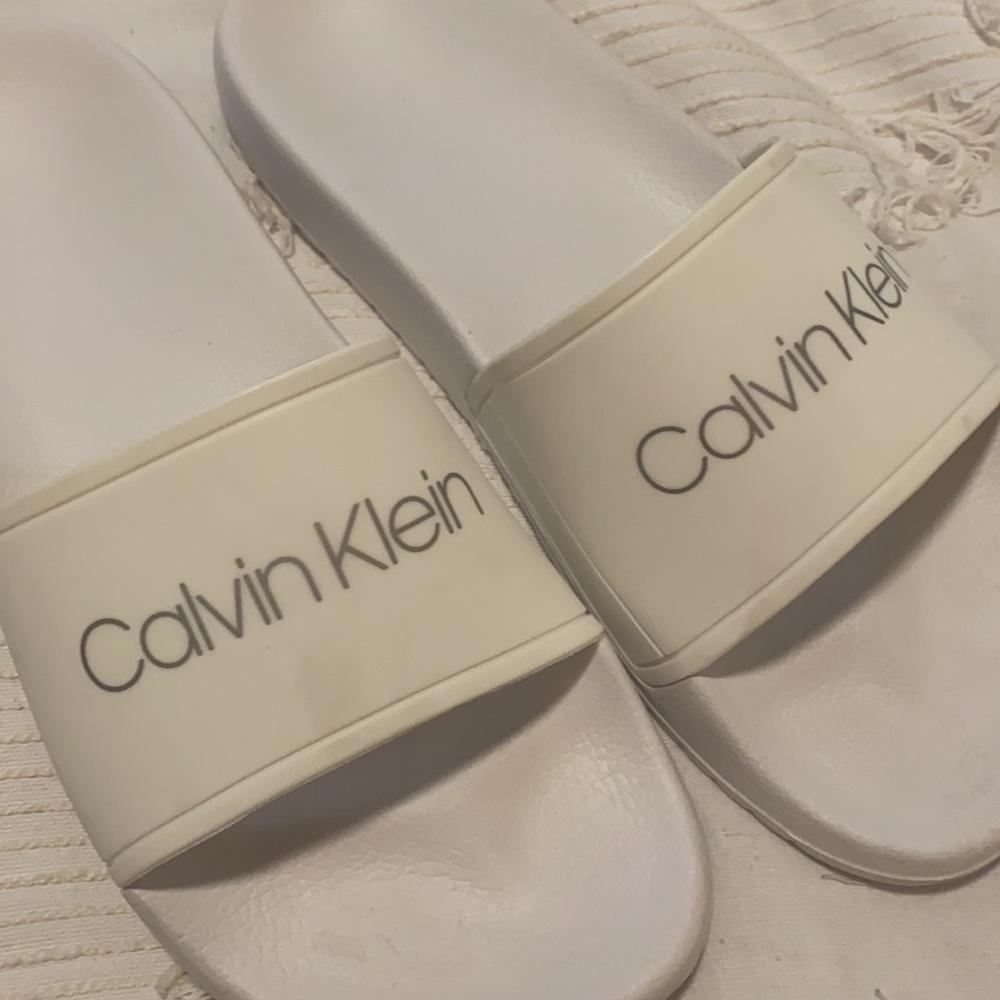 Calvin slides - Picture 2 of 2